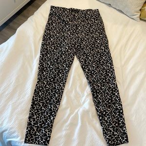 Dynamite business casual leggins